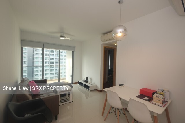 A Treasure Trove thumbnail photo